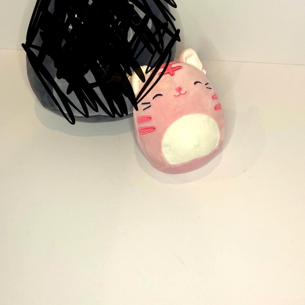 Pink cat